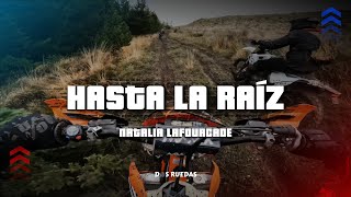 Natalia Lafourcade  Hasta la Raíz LetraLyrics [upl. by Maridel]