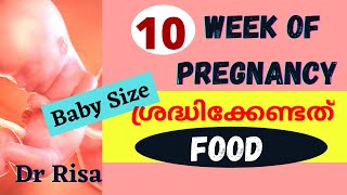 Pregnancy Week By Week Malayalam  10 Week of Pregnancy [upl. by Pascale]