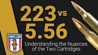 223 vs 556 Understanding the Nuances of the Two Cartridges [upl. by Aihtnys]