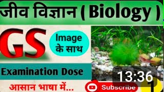 BIOLOGY GENERAL SCIENCE FOR COMPETITIVE EXAMINATIONS BPSC SSC UPP UPSC RAILWAY BANKING [upl. by Haikan977]