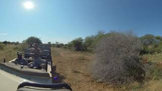 360 VR Wildlife Safari trip  Photos of Africa livestreamnature PhotosofAfrica 360ImageFilm [upl. by Wane]