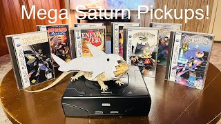 Mega Sega Saturn Pickups [upl. by Havard]