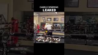 Canelo sparring leaked videocaneloalvarezgggdaviscruzfitnessolympicstoprankufcboxingtyson [upl. by Jandy]