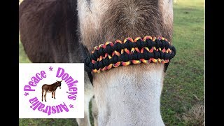 Wide paracord noseband for rope horse halter  KBK bar [upl. by Abijah288]