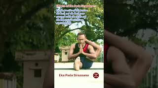 Eka Pada Sirsasana  Yoga O Jivan 🧘‍♂️shorts shortvideo yoga motivation [upl. by Esbenshade847]