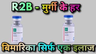 मुर्गी पालन मे सिर्फ R2B का इस्तमाल करने से 100 हर बिमारी होती है दुरजरुर देखीऐ [upl. by Andi]