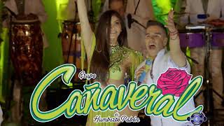 Grupo Cañaveral Sus Mejor Canciones  Cañaveral Exitos Mix Nuveo 2021 [upl. by Aidnyl]