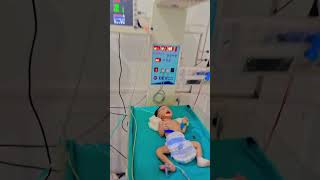 neonatal intensive care unit  nicu  nursing students life [upl. by Wilmott]