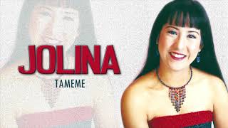 Jolina Magdangal  Tameme Audio 🎵  Panaginip Platinum Hits Collection [upl. by Burnley97]