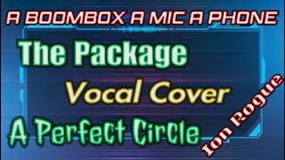 A Boombox A Mic A Phone The Package by A Perfect Circle Vocal Cover [upl. by Courtnay]