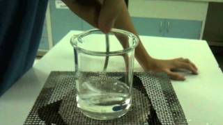 Magnesium Reaction with Sulphuric acid [upl. by Darwen]