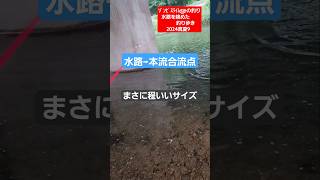 水路で釣り 合流点 フィッシング fishing 川釣り bassfishing 釣り 栃木県 鯉タックルルアーナマズ釣り ぞんすらぱーくtopia [upl. by Rebekah]