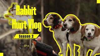 Rabbit Hunt Vlog Ep 4 Season 2 [upl. by Maurine]