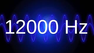 12000 Hz clean pure sine wave TEST TONE 12 khz frequency [upl. by Thorman111]