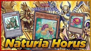 Naturia Horus Season 34  Master Duel Rank Match Replay  Yugioh 遊戯王 2024 [upl. by Lotsirk]