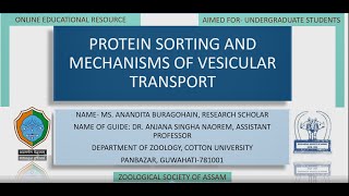 Protein Sorting and Mechanisms of Vesicular Transport [upl. by Angus]