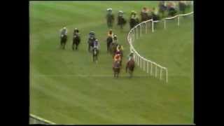 Slaney Idol 1980 waterford crystal supreme novices hurdle [upl. by Aerdnael233]