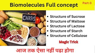 Biomolecules Disaccharides  Polysaccharides Class 12  JEE  NEET [upl. by Alemac87]