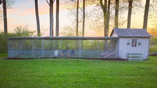 Building Our PredatorProof Chicken Run Part 3 Ramps Pop Hole Perch and Shade Tarps [upl. by Derrik]