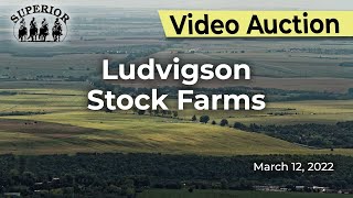 Ludvigson Stock Farms [upl. by Sidra]