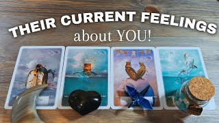 💕😲💕Their Feelings RIGHT NOW  Pick A Card LOVE Tarot Reading  Timeless [upl. by Alekal]