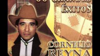 Cornelio Reyna  Mil Noches [upl. by Nanni]