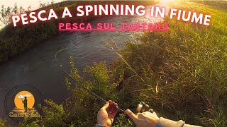 Pesca a SPINNING sul FIUME TARTARO [upl. by Gayla707]