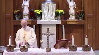 111524 Memorial Of St Albert The Great Bishop And Doctor Of The Church 830am [upl. by Aryk]