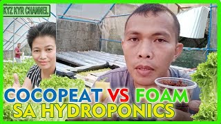 MGA RASON BAKIT DI AKO GUMAMIT NG COCOPEAT SA LETTUCE HYDROPONICS [upl. by Deegan]