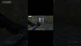 Dayz Rearmed EU 2 kills inside a building [upl. by Thalia90]