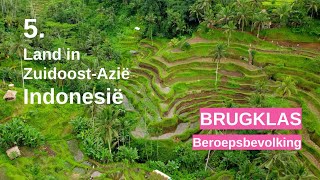 De beroepsbevolking van Indonesië  Zuidoost Azië en Indonesië  Brugklas  PSJ [upl. by Enileuqkcaj256]