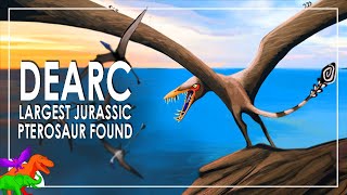 Largest Jurassic Pterosaur Found In Scotland – Dearc  NonDinosaurs EXPLAINED [upl. by Nahshunn372]