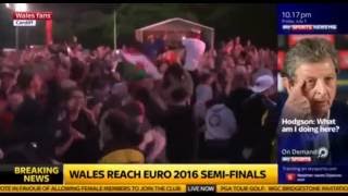 Reaction of Wales Fans While All 3 Goals Against Belgium in Cardiff [upl. by Yadsnil]