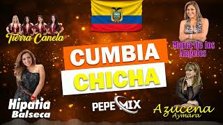 MIX DE CUMBIA  CHICHA ECUATORIANA BAILABLE 2024 [upl. by Bonilla]