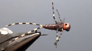 Thread Frenchie Stonefly Nymph  Easy FastSinking Jig Stonefly Nymph [upl. by Gerg]