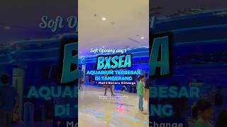 RESMI DIBUKA UNTUK UMUM ‼️ BXSea BINTARO JAYA XCHANGE  AQUARIUM TERBESAR DI TANGSEL BXSea Aquarium [upl. by Leod134]