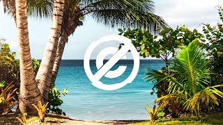 Scandinavianz  Waves  No Copyright Music  Tropical House [upl. by Airamzul]