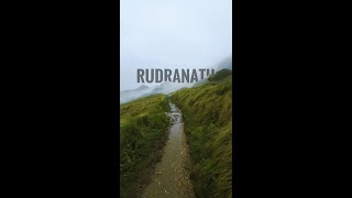 Rudranath The Toughest Trek  Shiv ji Toughest kedar  Uttrakhand  Dhivara [upl. by Lasko]