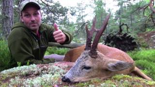 Bockjagd in Schweden  Roebuck Hunting in Sweden [upl. by Tebzil179]