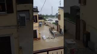 ⚠️ Rottura dellargine del Lamone a Traversara di Bagnacavallo Ravenna⚠️alluvione emiliaromagna [upl. by Ennaisoj376]