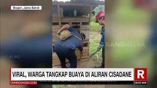 Viral Warga Tangkap Buaya Di Aliran Cisadane  REDAKSI PAGI 110822 [upl. by Pierce]