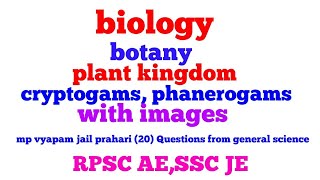 Biology  botany   topic  cryptogams phanerogams for mp vyapam jail prahariSSC jeRpsc ae [upl. by Enelyad232]