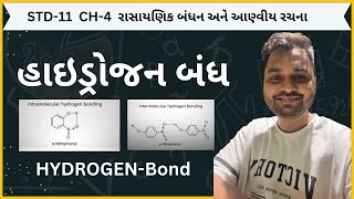 Hydrogen bond  std11  chemistry  ch4  chemical bonding  Gujarati medium [upl. by Tansy611]