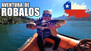 Pesca de Robalos en el Sur de Chile  Estuario de Reloncaví [upl. by Dorisa]