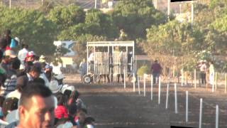 CARRERAS DE CABALLOS EN EL ROSARIO [upl. by Fairbanks398]