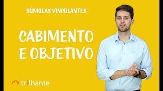 Súmulas Vinculantes  Cabimento e Objetivo [upl. by Aiouqes]