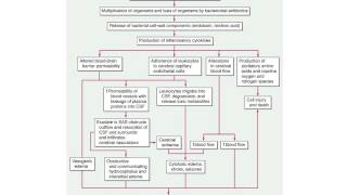 CNS Infections [upl. by Ardeid331]