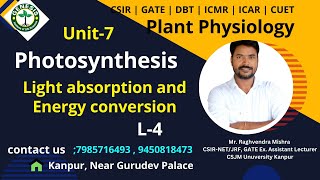 Light absorption amp Energy conversion  Photosynthesis  Plant Physiologygenesisinstitute [upl. by Akinnej45]