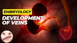 Special Embryology  Development of the Veins [upl. by Elatsyrk]