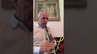 Rondo Divertimento Mozart Clarinet B♭ Selmer lygeros music clarinet shorts learn instrument [upl. by Adniram]